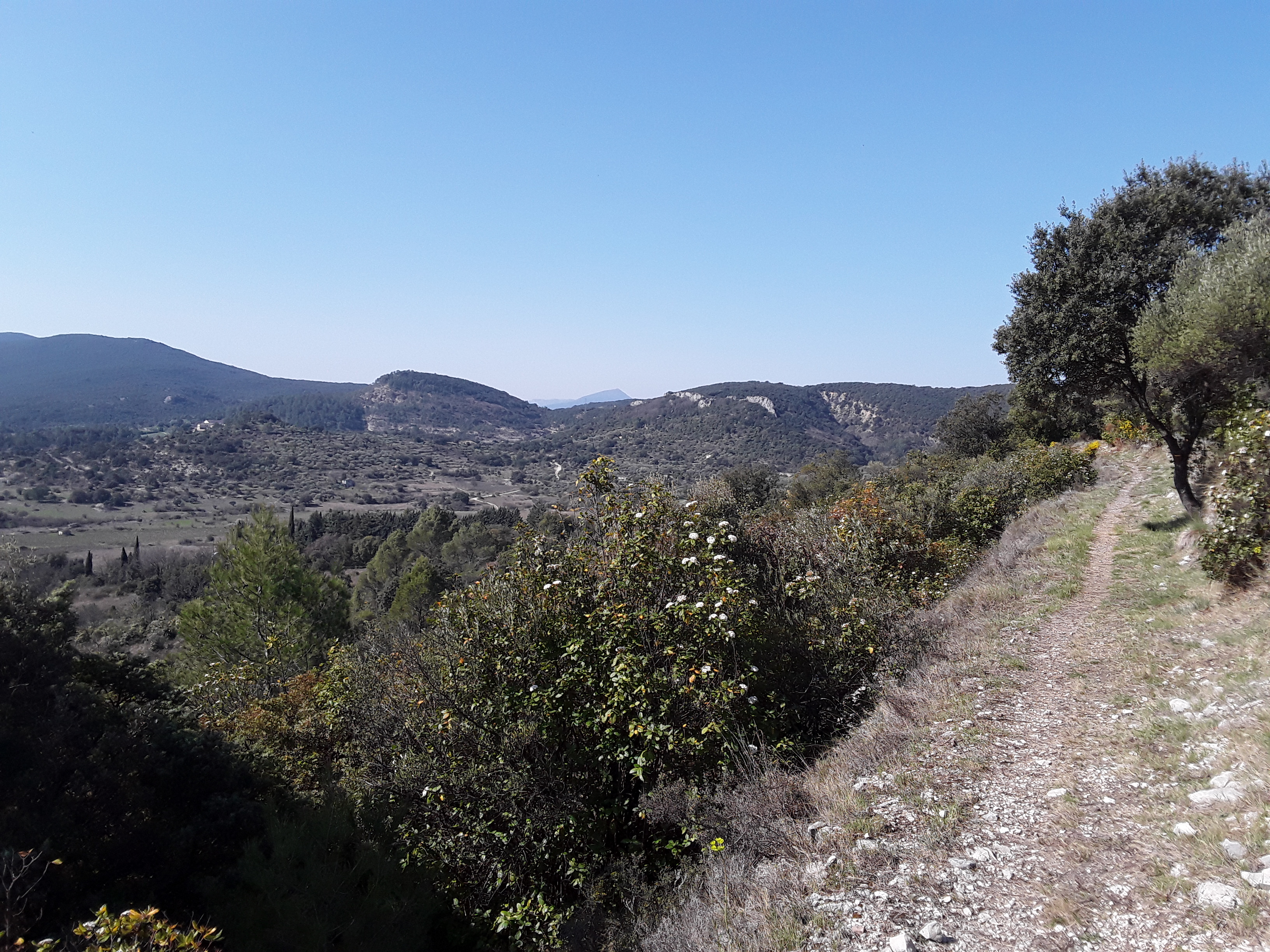 Montée vers le Castellas